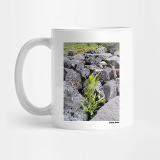 fragment of life ecopop Mug